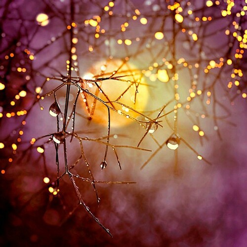 cute-halloween-heart-lights-favim-com-2201533